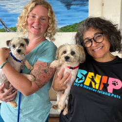 SNIP volunteers with dogs